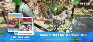 Lokasi dan Harga Tiket wisata batu secret zoo